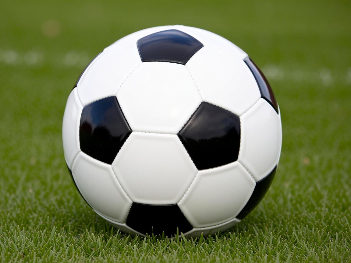 开云体育官网登入-Chinese Taipei乒乓球队战术全揭秘：技术与心理双重对抗，台北乒乓队  第3张