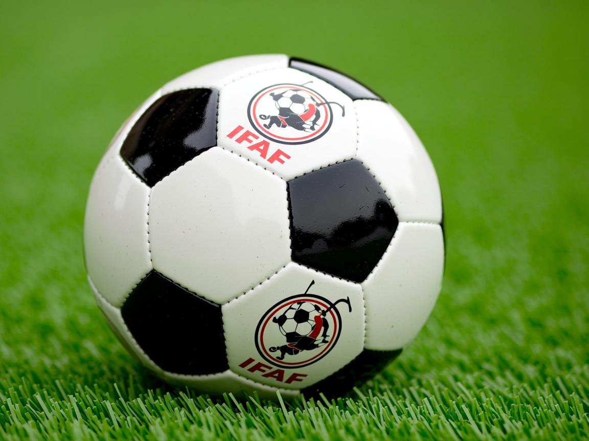 开云体育官网登入-Chinese Taipei出色表现，2024年世界杯赛场表现分析，2024年足球世界杯