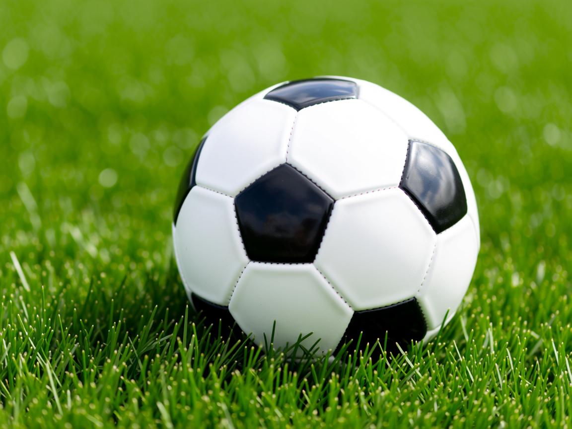 开云体育官网上-中国男篮加强第二阵容比赛适应性，中国男篮cba第二阶段赛程表  第1张